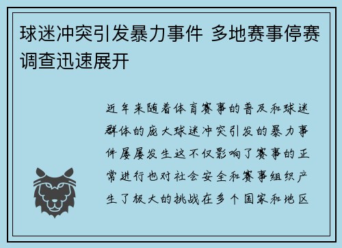 球迷冲突引发暴力事件 多地赛事停赛调查迅速展开