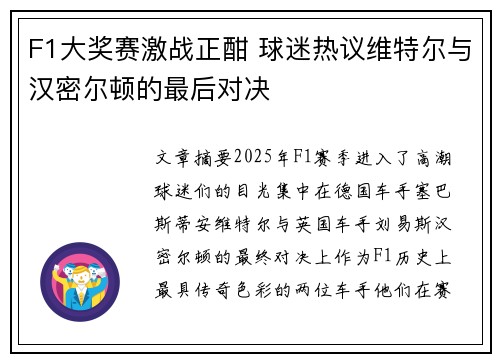 F1大奖赛激战正酣 球迷热议维特尔与汉密尔顿的最后对决