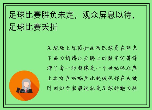 足球比赛胜负未定，观众屏息以待，足球比赛夭折