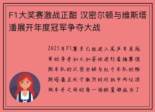 F1大奖赛激战正酣 汉密尔顿与维斯塔潘展开年度冠军争夺大战