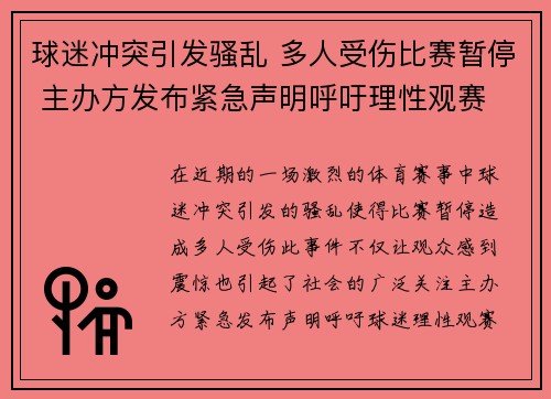 球迷冲突引发骚乱 多人受伤比赛暂停 主办方发布紧急声明呼吁理性观赛